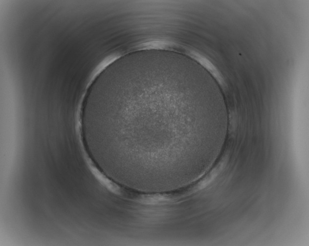 X0000112011042200908101338