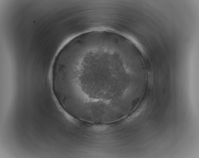 X0000112011046200908101338