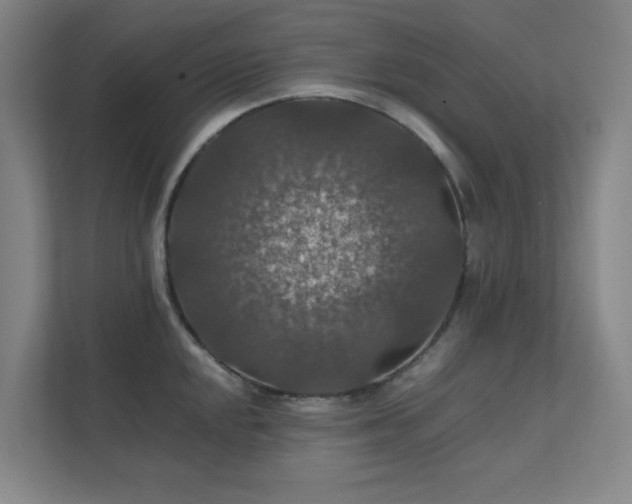 X0000112011048200908101338