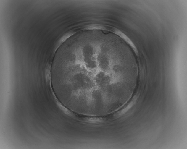 X0000112011049200908101338