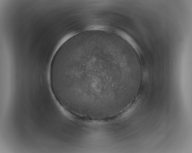 X0000112011050200908101338