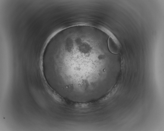 X0000112011051200908101338