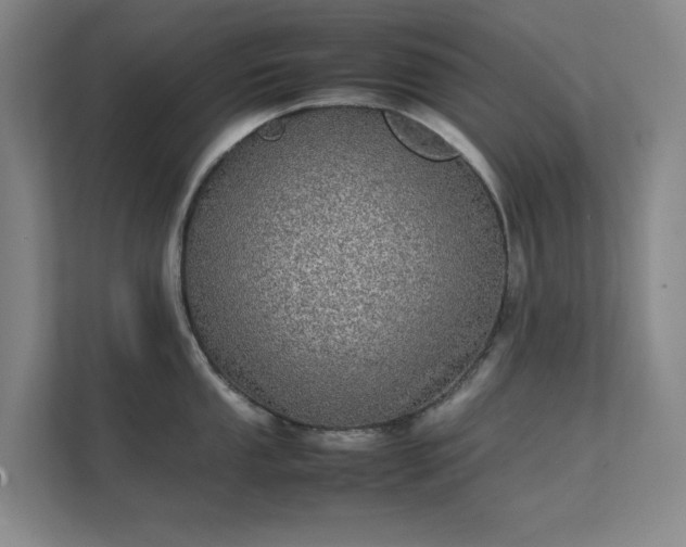 X0000112011053200908101338