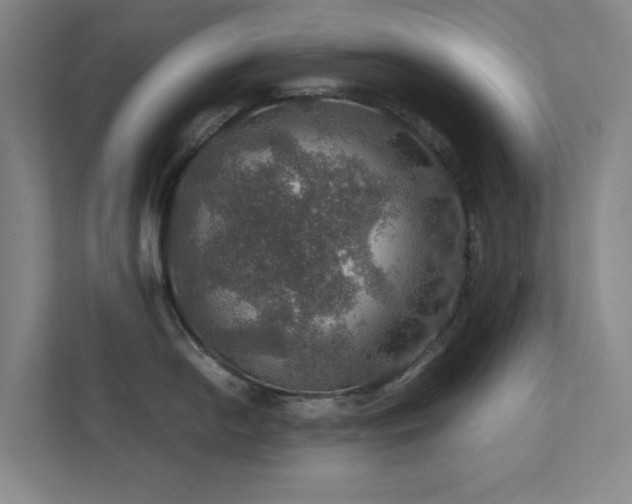 X0000112011054200908101338