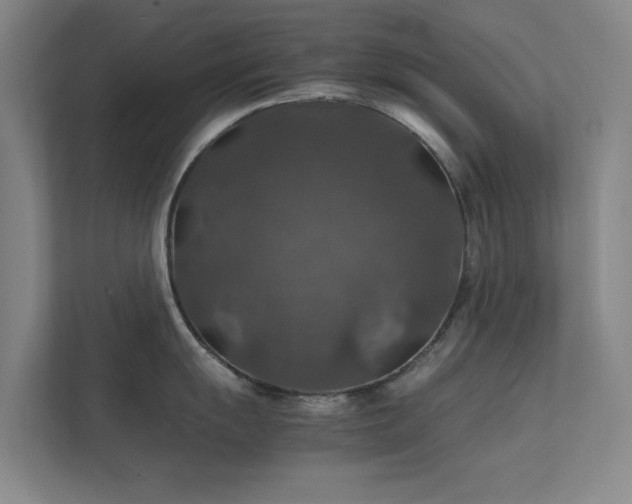 X0000112011055200908101338