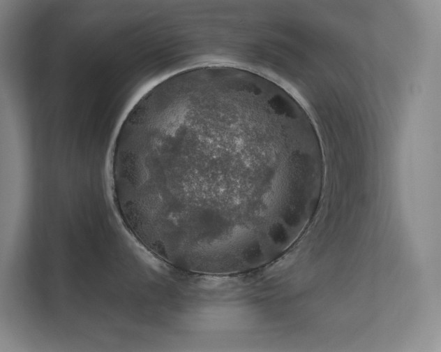 X0000112011056200908101338