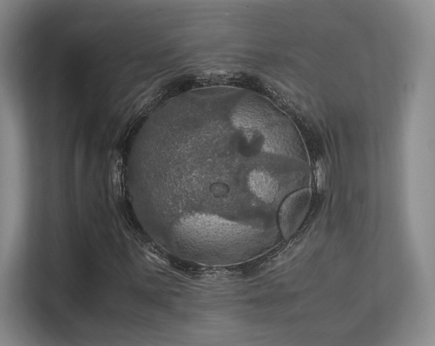 X0000112011059200908101337