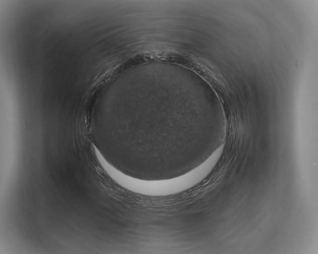 X0000112011060200908101337