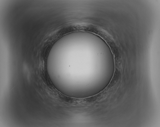 X0000112011061200908101337