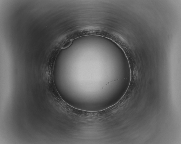 X0000112011062200908101337