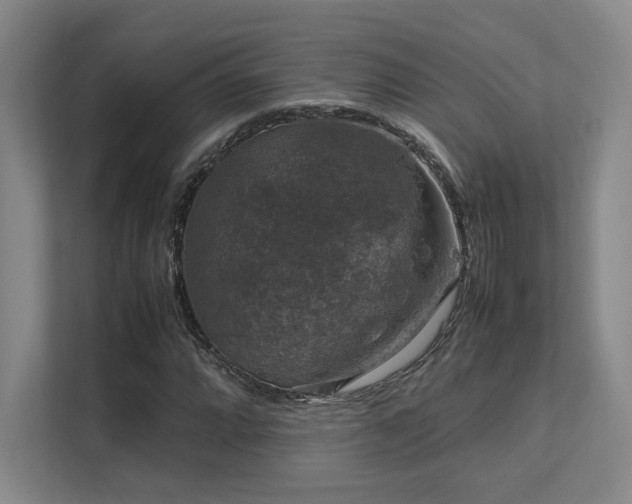 X0000112011064200908101337