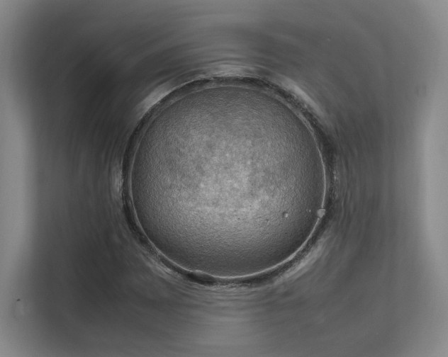 X0000112011065200908101337