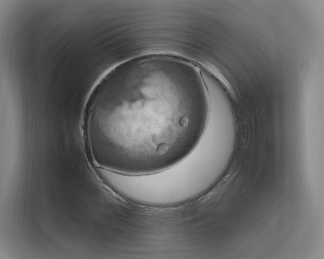 X0000112011068200908101337