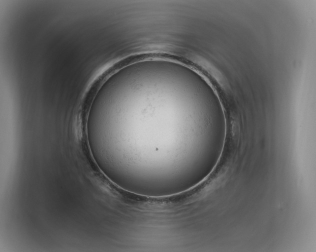 X0000112011069200908101337