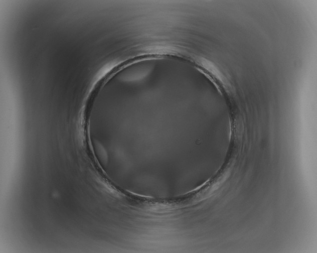 X0000112011071200908101337