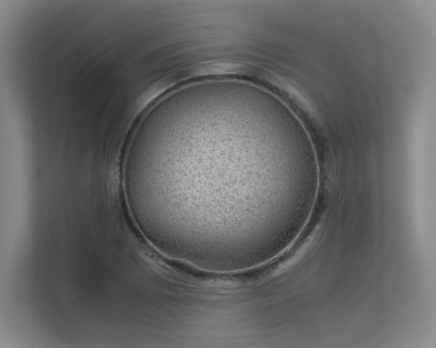 X0000112011073200908101337