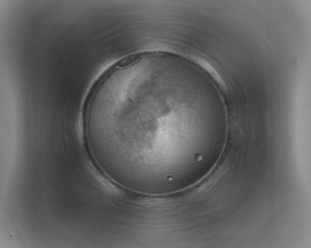 X0000112011076200908101337