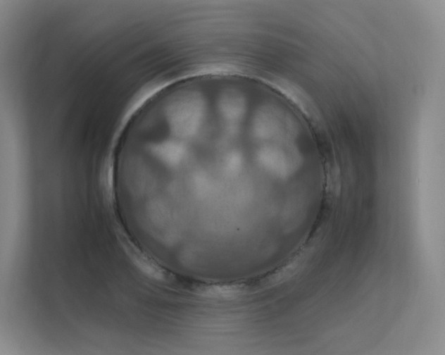 X0000112011078200908101337