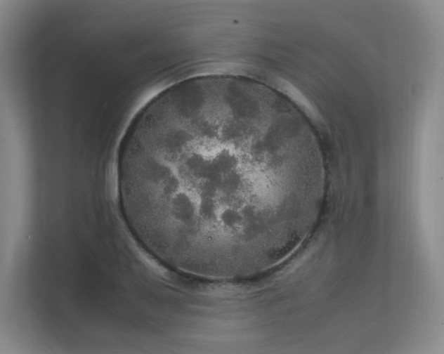 X0000112011079200908101337