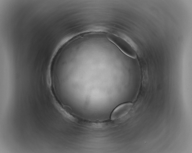 X0000112011080200908101337