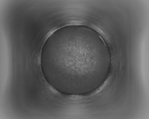 X0000112011081200908101337