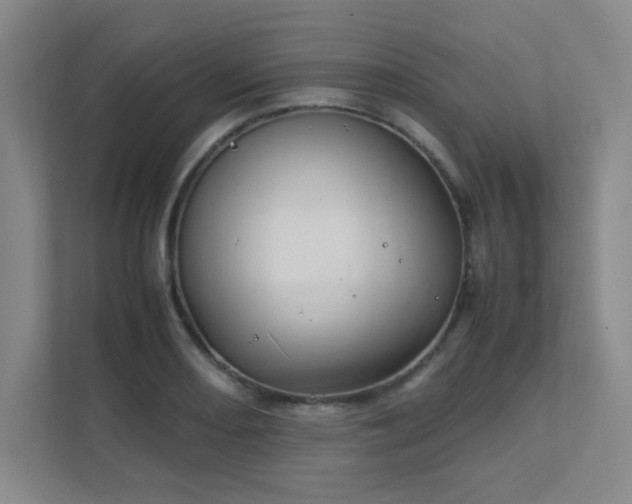 X0000112011082200908101337