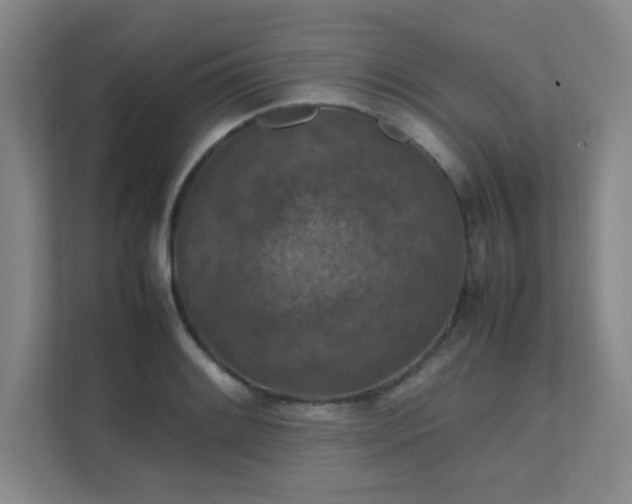 X0000112011084200908101337