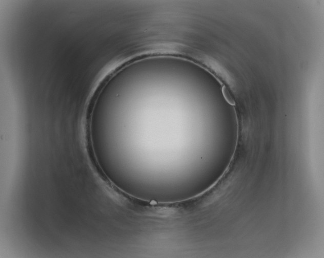 X0000112011085200908101337