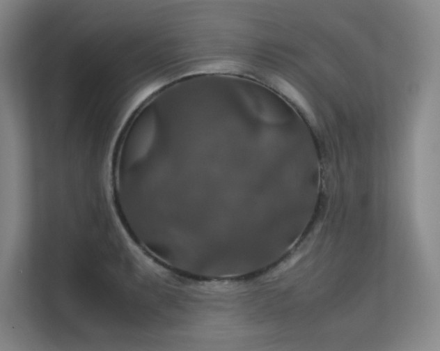 X0000112011087200908101337