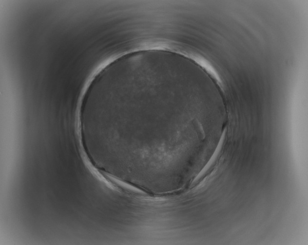 X0000112011088200908101337