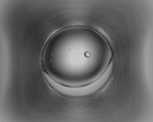 X0000112011089200908101337