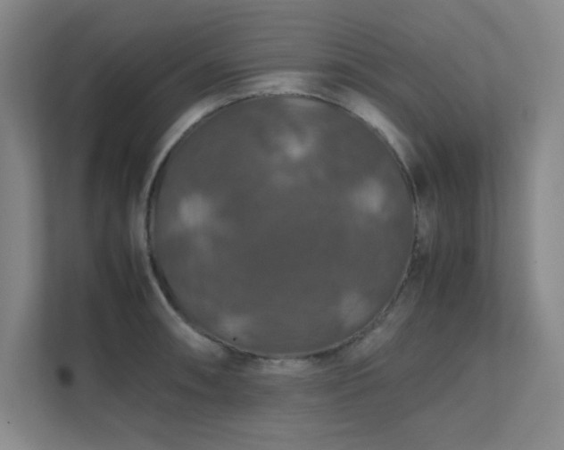 X0000112011090200908101337