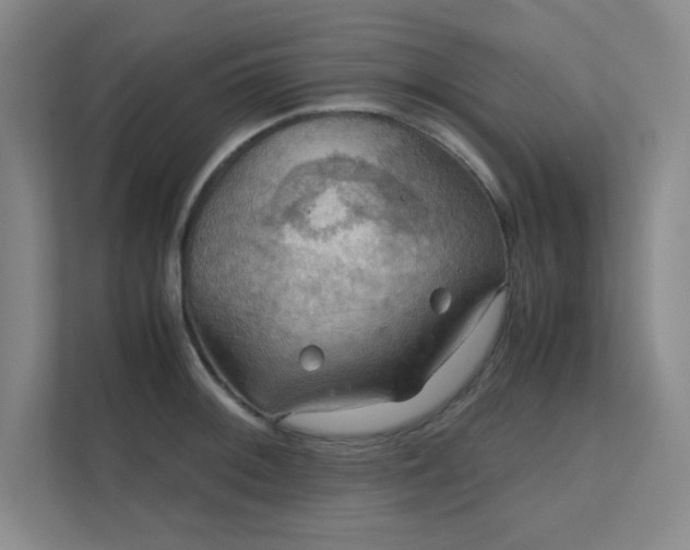 X0000112011092200908101337