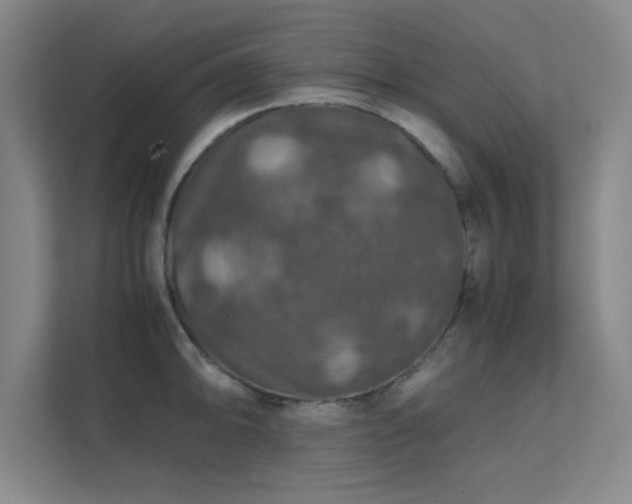 X0000112011094200908101337