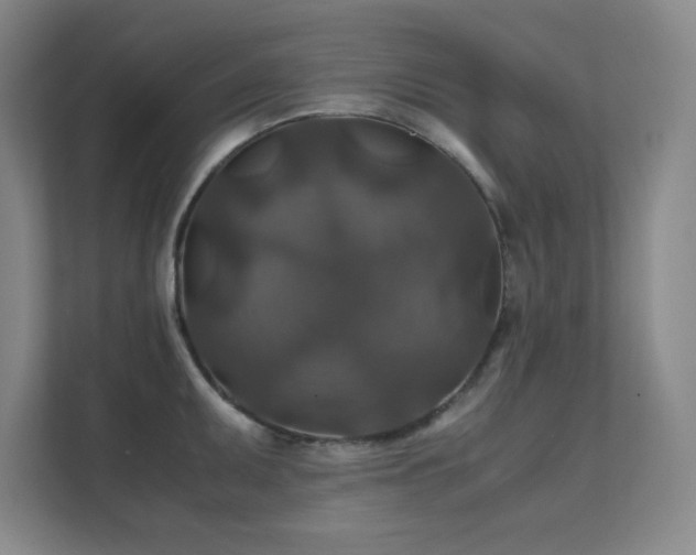 X0000112011095200908101337