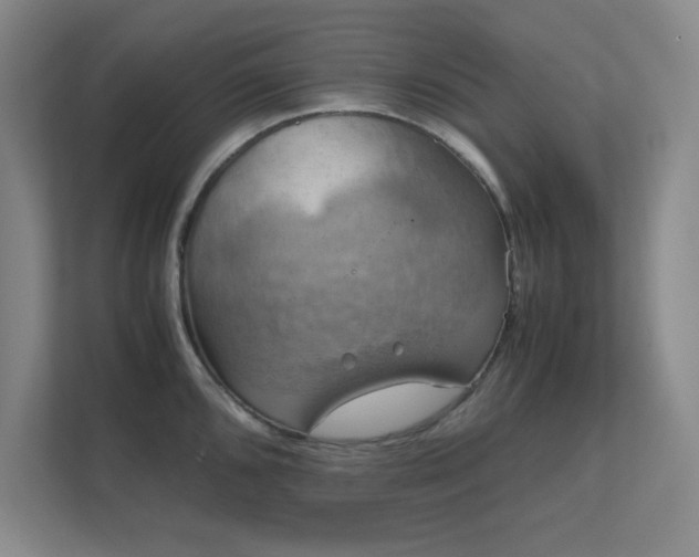 X0000112011096200908101337