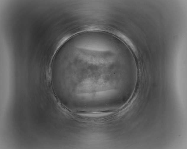 X0000112011097200908101337