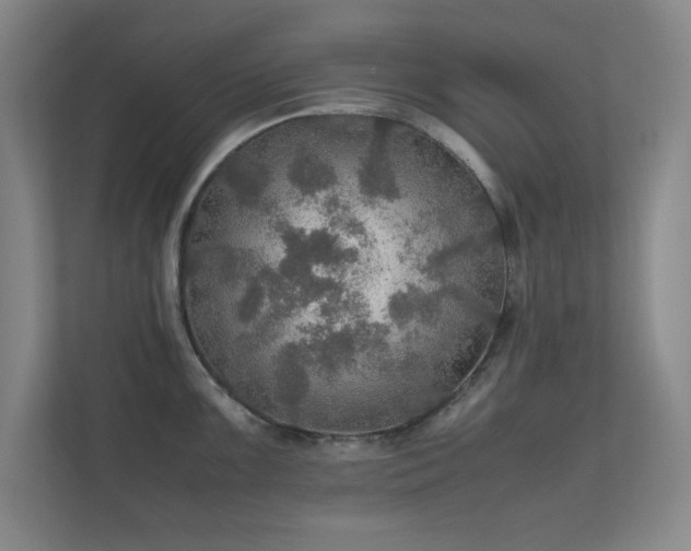 X0000112011099200908101337