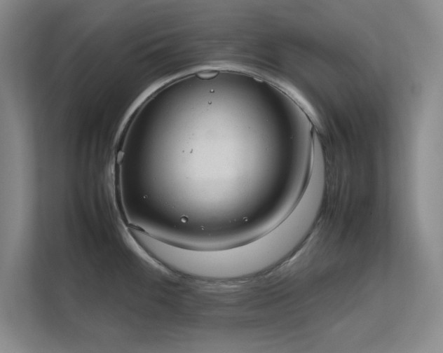 X0000112011100200908101337