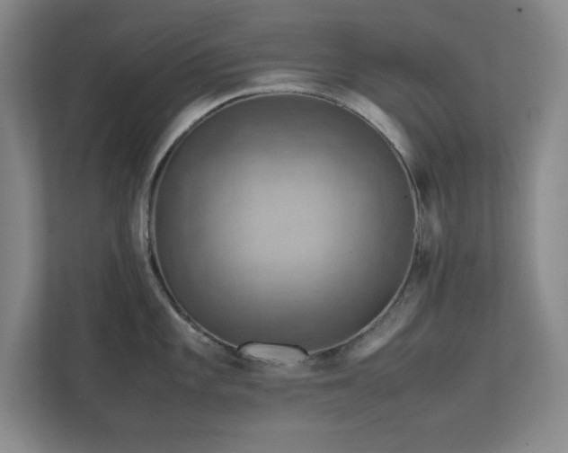 X0000112011101200908101337