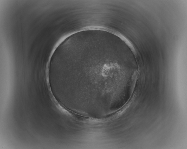 X0000112011102200908101337