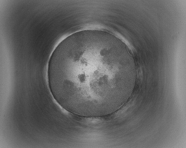 X0000112011103200908101337