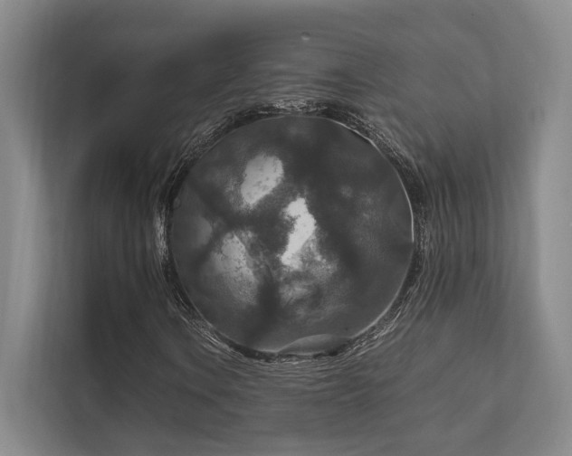 X0000112011106200908101336