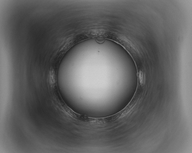 X0000112011107200908101336