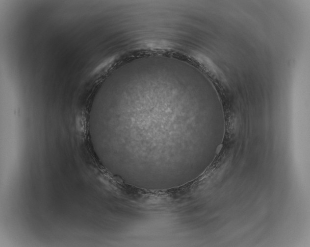 X0000112011110200908101336