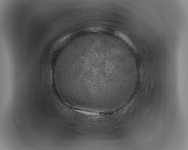 X0000112011111200908101336