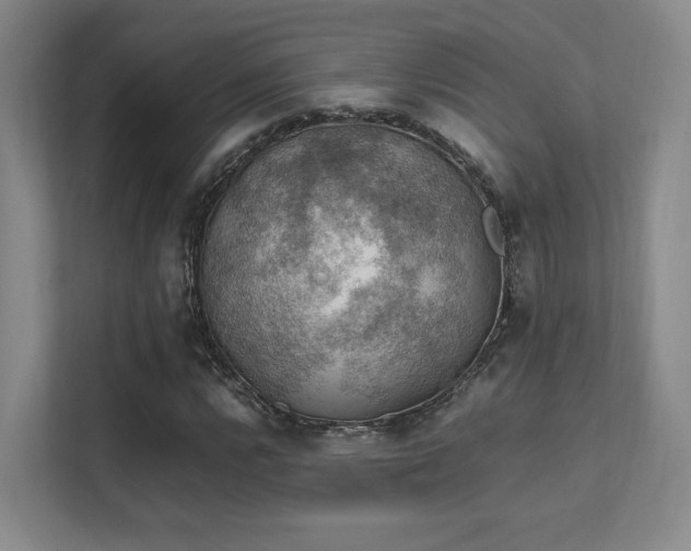 X0000112011112200908101336