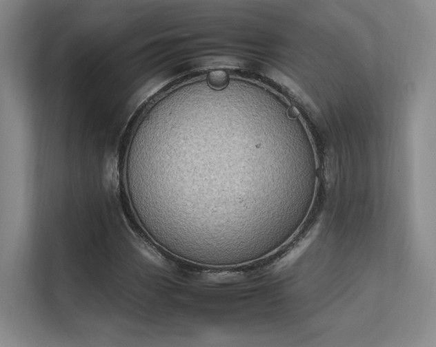 X0000112011113200908101336