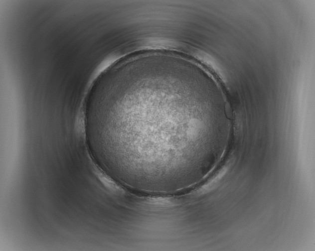 X0000112011114200908101336