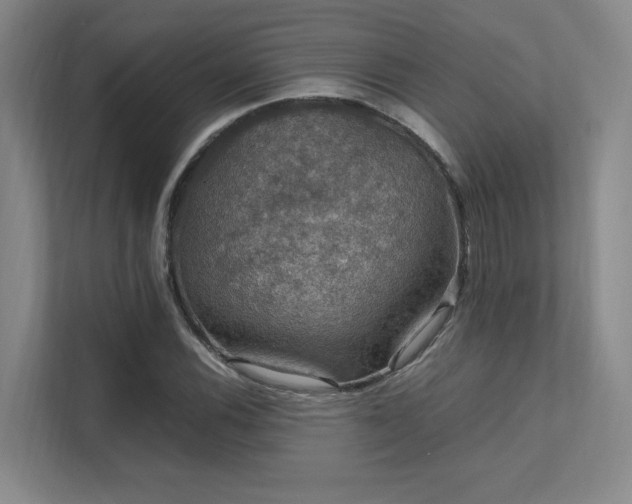 X0000112011116200908101336